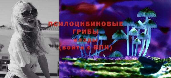 марки nbome Бородино