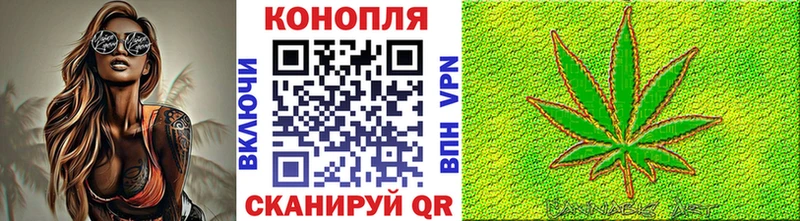 цены   Гороховец  Марихуана семена 